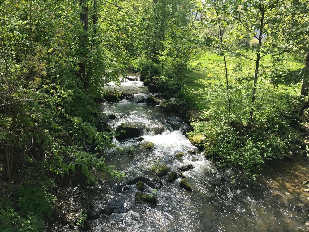 Grosse Und Helle 3 Zi Wohnung In Lossburg-Betzweiler, Schwarzwald Luaran gambar